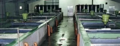 Afacere 123 imagine SC AQUATOOLS JIMIX SRL Tehnicieni proiectanţi în Oradea BH