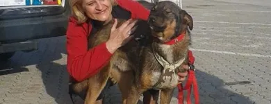 Afacere 5 imagine SC BOGDAN CONSTRUCT IMOB SRL Transport în Bucureşti