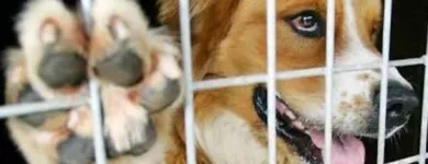 Afacere 6 imagine SC BOGDAN CONSTRUCT IMOB SRL Transport în Bucureşti