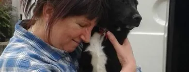 Afacere 8 imagine SC BOGDAN CONSTRUCT IMOB SRL Transport în Bucureşti