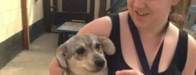 Afacere 9 imagine SC BOGDAN CONSTRUCT IMOB SRL Transport în Bucureşti