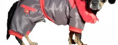 Afacere 16 imagine SC BORDULA EUROANIMODE SRL Shopping în Petroşani HD