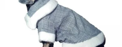 Afacere 17 imagine SC BORDULA EUROANIMODE SRL Shopping în Petroşani HD