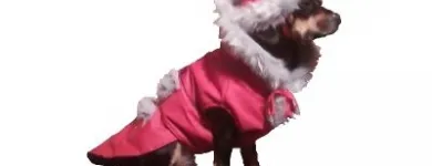 Afacere 22 imagine SC BORDULA EUROANIMODE SRL Shopping în Petroşani HD