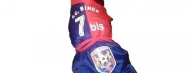 Afacere 23 imagine SC BORDULA EUROANIMODE SRL Shopping în Petroşani HD