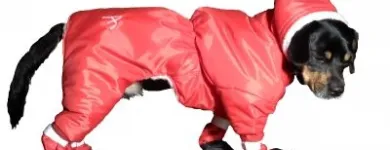 Afacere 25 imagine SC BORDULA EUROANIMODE SRL Shopping în Petroşani HD