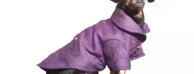 Afacere 29 imagine SC BORDULA EUROANIMODE SRL Shopping în Petroşani HD