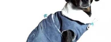 Afacere 32 imagine SC BORDULA EUROANIMODE SRL Shopping în Petroşani HD