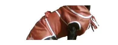 Afacere 33 imagine SC BORDULA EUROANIMODE SRL Shopping în Petroşani HD