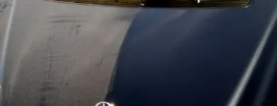 Afacere 4 imagine SC CONSENG ENTERPRISE SRL Spălătorii, curăţătorii şi vopsitorii de îmbrăcăminte şi textile în Constanţa