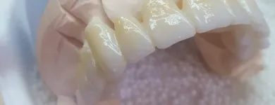 Afacere 7 imagine SC DENTAMIR SRL - LABORATOR DENTAR CAD CAM Stomatologi şi cabinete stomatologice în Oradea BH