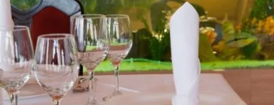 Afacere 5 imagine SC MODERN SA-HOTEL MELODY Turism şi Agrement în Oradea BH