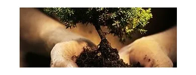 Afacere 1 imagine SCA GRIMBERG & PARTNERS Servicii legale şi financiare în Bucureşti