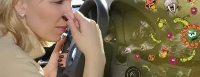 Afacere 1 imagine SPALATORIA AUTO JUMBO Spălătorii, curăţătorii şi vopsitorii de îmbrăcăminte şi textile în Braşov