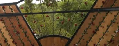 Afacere 8 imagine STEFIART Servicii profesionale în Buzău