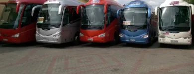 Afacere 3 imagine TRANS NICOLAESCU SRL Turism şi Agrement în Rădăuţi SV
