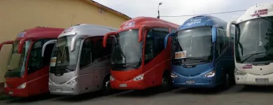 Afacere 4 imagine TRANS NICOLAESCU SRL Turism şi Agrement în Rădăuţi SV