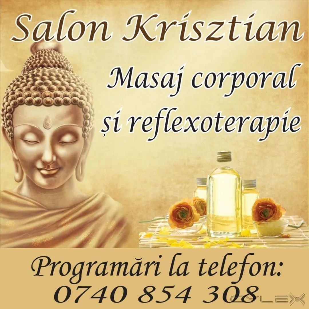 Afacere 3 imagine KRIS THE LION KING SRL