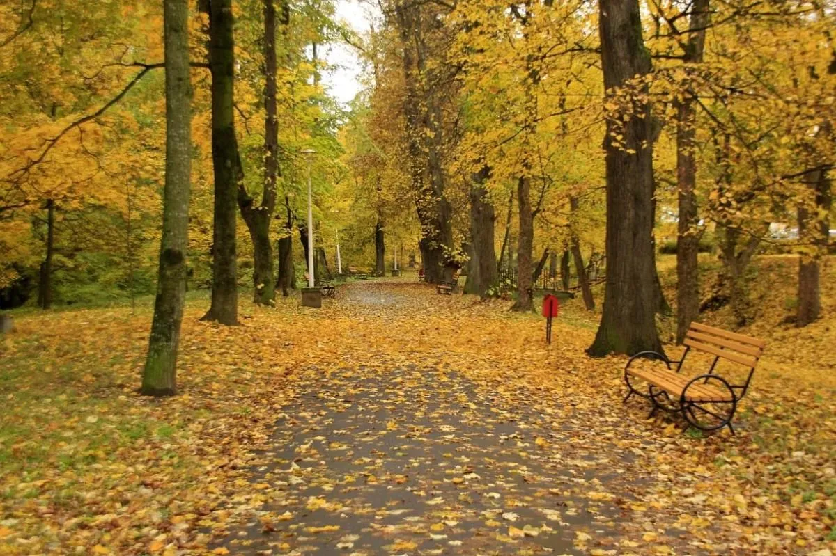 Afacere 22 imagine BEST WESTERN SILVA HOTEL