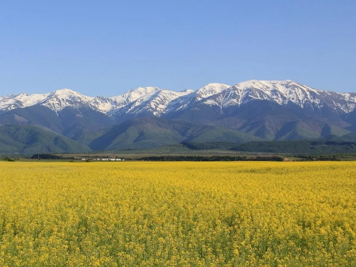 Afacere 18 imagine BEST WESTERN SILVA HOTEL