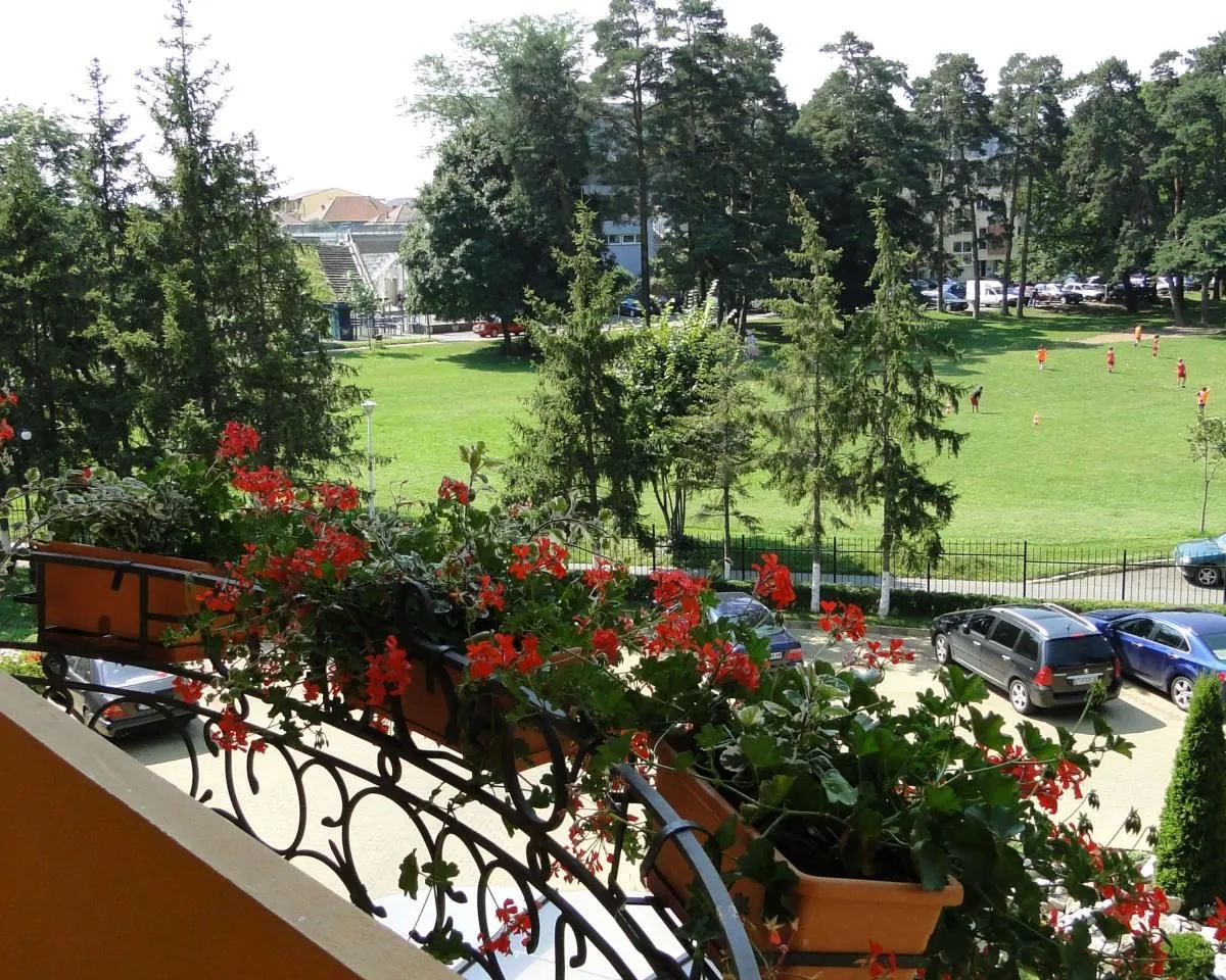 Afacere 4 imagine BEST WESTERN SILVA HOTEL