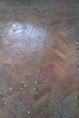 Afacere 15 imagine AEM GENERAL PARCHET SRL