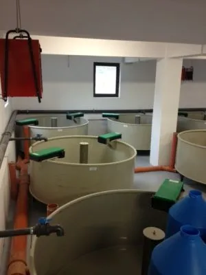 Afacere 89 imagine SC AQUATOOLS JIMIX SRL