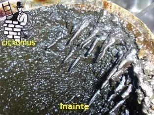 Afacere 5 imagine CICITOMUS