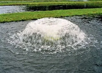 Afacere 120 imagine SC AQUATOOLS JIMIX SRL