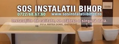 Afacere 3 imagine RISTEA DOREL GHEORGHE P.F.A.