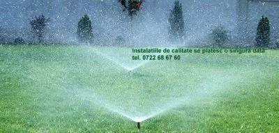 Afacere 37 imagine RISTEA DOREL GHEORGHE P.F.A.