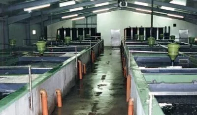 Afacere 123 imagine SC AQUATOOLS JIMIX SRL