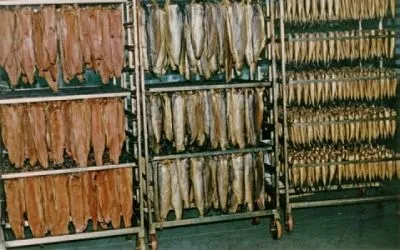 Afacere 117 imagine SC AQUATOOLS JIMIX SRL