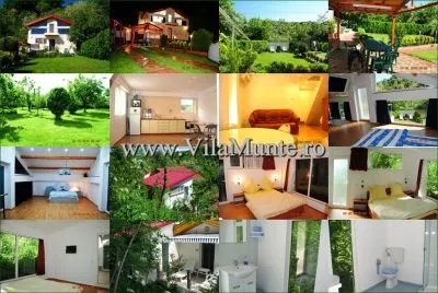 Afacere 1 imagine VILAMUNTE