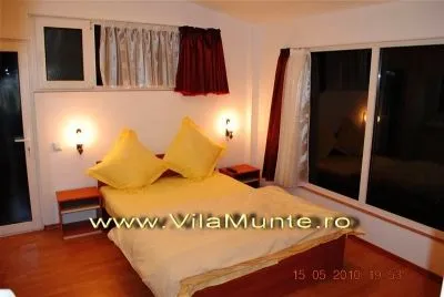 Afacere 3 imagine VILAMUNTE