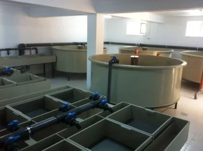 Afacere 92 imagine SC AQUATOOLS JIMIX SRL