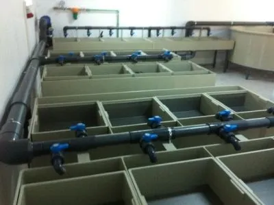 Afacere 91 imagine SC AQUATOOLS JIMIX SRL