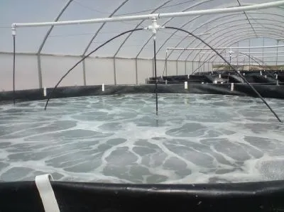 Afacere 119 imagine SC AQUATOOLS JIMIX SRL