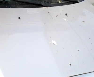 Afacere 5 imagine SC CONSENG ENTERPRISE SRL