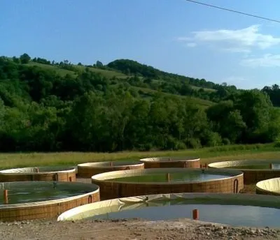 Afacere 83 imagine SC AQUATOOLS JIMIX SRL