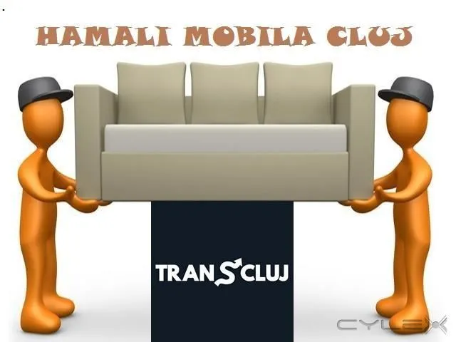 Afacere 13 imagine TRANS CLUJ