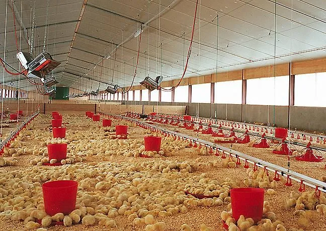 Afacere 3 imagine RWT ROMANIAN WATER TECHNOLOGIES