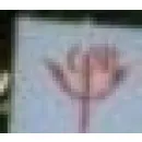 CABINET INDIVIDUAL DE PSIHOLOGIE NAZARE CRISTINA Sănătate şi Medicină în Brăila