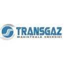 TRANSGAZ BAIA MARE Industrie şi Agricultură în Baia Mare MM