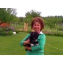 PENSIUNE CANINA SI FELINA, PISICILE ARISTROCATE ORADEA Servicii profesionale în Oradea BH