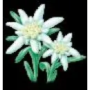 EDELWEISS GARDENS Servicii profesionale în Constanţa