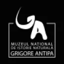MUZEUL DE ISTORIE NATURALA GRIGORE ANTIPA Turism şi Agrement în Bucureşti
