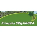 PRIMARIA ORASULUI SEGARCEA Primării în Segarcea DJ