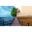 CENTRUL DE CONSILIERE SI EDUCARE PENTRU SANATATE Sănătate şi Medicină în Craiova DJ