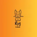 RAY THE FRENCHIE Servicii profesionale în Oradea BH